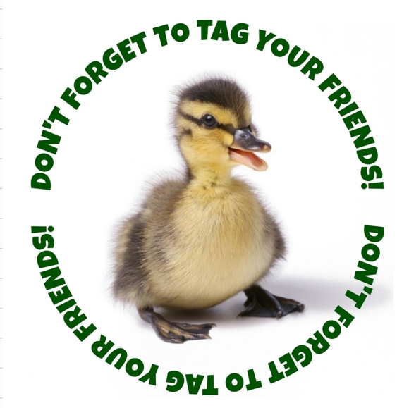 Closed- Please Add My New Game - Picture 4 of 5